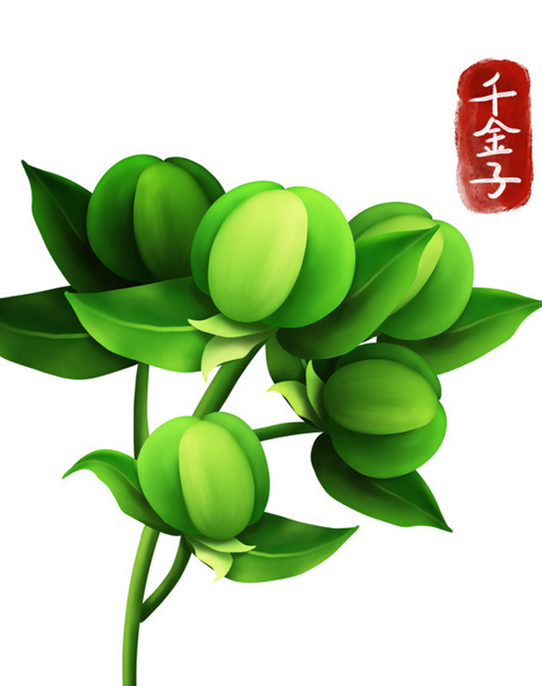 千金子提取物2