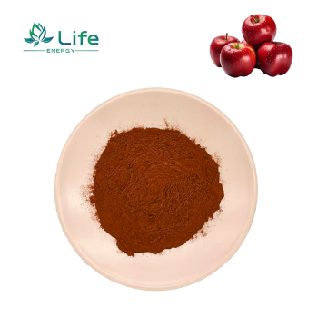 Apple Extract /Powder/Apple Polyphenols