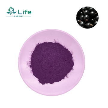 Black currant Extract Anthocyanidins/Anthocyanins
