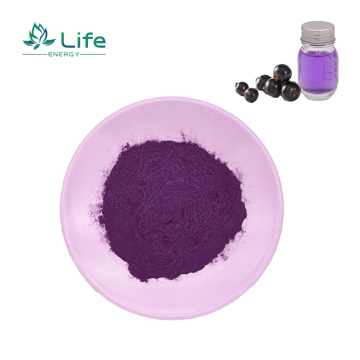 Black currant Powder Anthocyanidins/Anthocyanins
