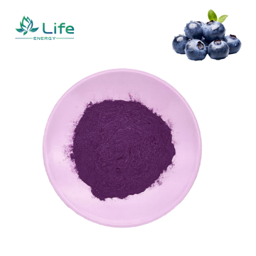 Blueberry Extract/Pternstilbene /Anthocyanins/Polyphenols