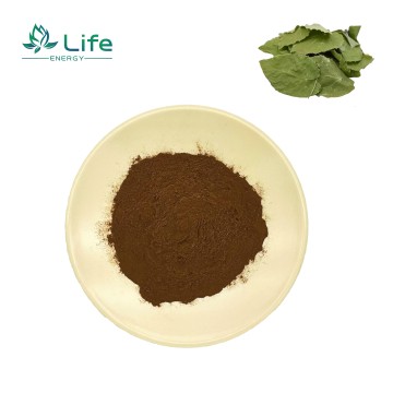 Epimedium Extract/Epimedium brevicornum Maxim/Icariin/Total Flavone