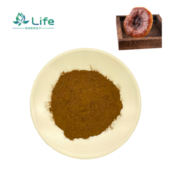 Ganoderma lucidum(reishi) Extract/Ganoderma lucidum Powder/Ganoderma lucidum triterpenoids