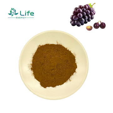 Grape seed Extract/Powder /Oligomeric Proantho Cyanidins
