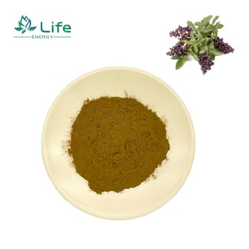 Ligustri lucidi fructus Extract /Tannins/Polysaccharides /Saponins
