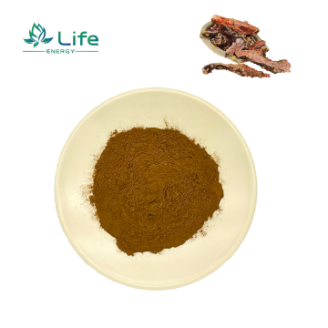 Rhodiola rosea Extract /Powder/Salidroside