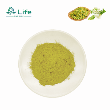 Sophora japonica Extract-Quercetin/Flavonoids