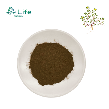 Bacopa monnieri Extract /Vitamins C/Flavonoids/Polyphenolic