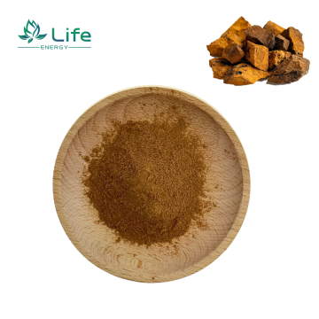Chaga mushroom Extract /Polysaccharides/Triterpenes /Flavonoids