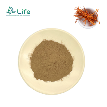 Cordyceps militaris Extract/Polysaccharides /Cordycepin