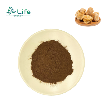 Hericium erinaceus（Lion's mane) Extract/Polysaccharides