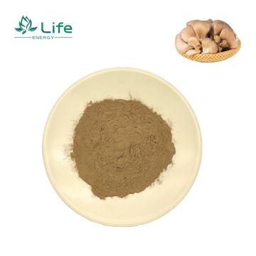 Pleurotus ostreatus（Oyster mushroom）Extract /Polysaccharides