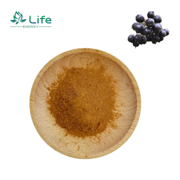 Siberian ginseng Extract /Eleutherosides/Polysaccharides /Flavonoids