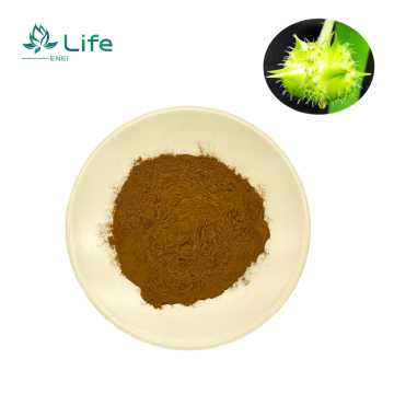 Tribulus terrestris Extract /Saponins/Flavonoids /Alkaloids