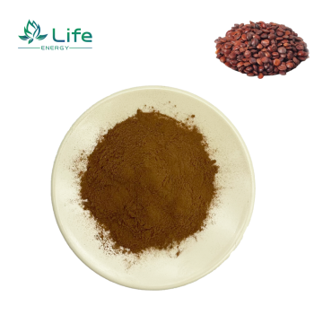 Wild jujube Extract /Flavonoids/Saponin /Salkaloids