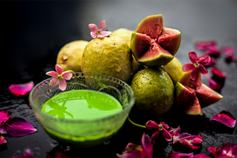 Azadirachta indica neem Extract: The Green Guardian of Natural Plant Pesticides