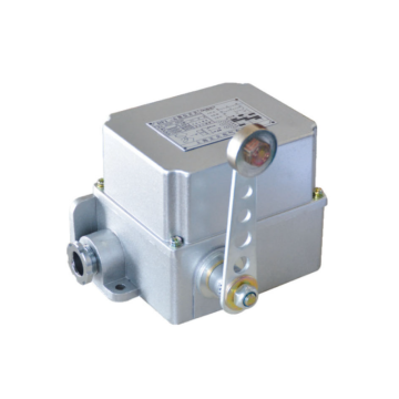 DF1 series limit switch (ZNFO Special Series)