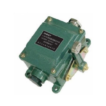LX918 Marine limit switch Series