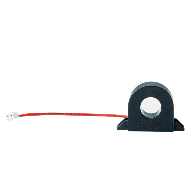 The Leakage Current Transformer