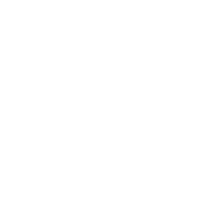 Integrated Circuits ICs
