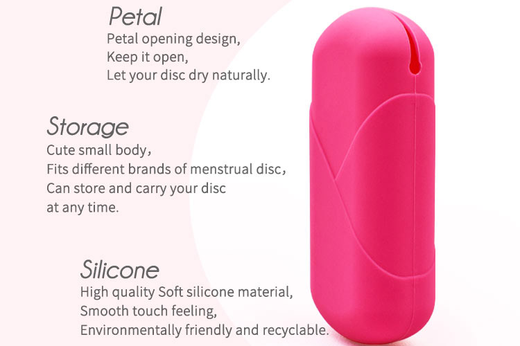 DiscCase (4)