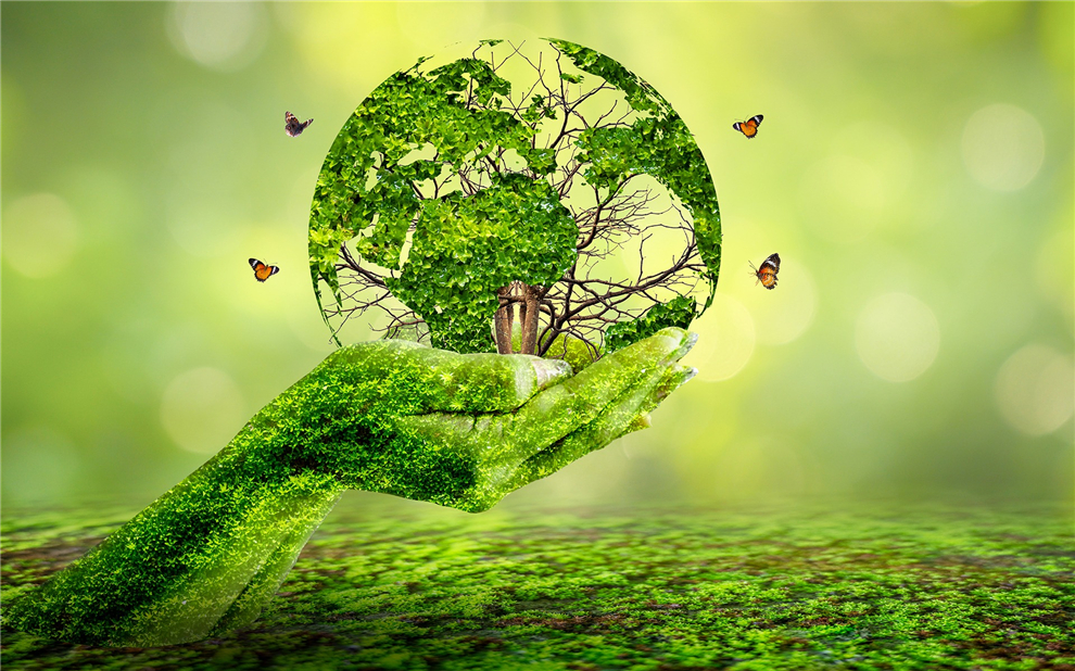 Sustainability (1)