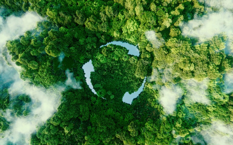 Sustainability (2)