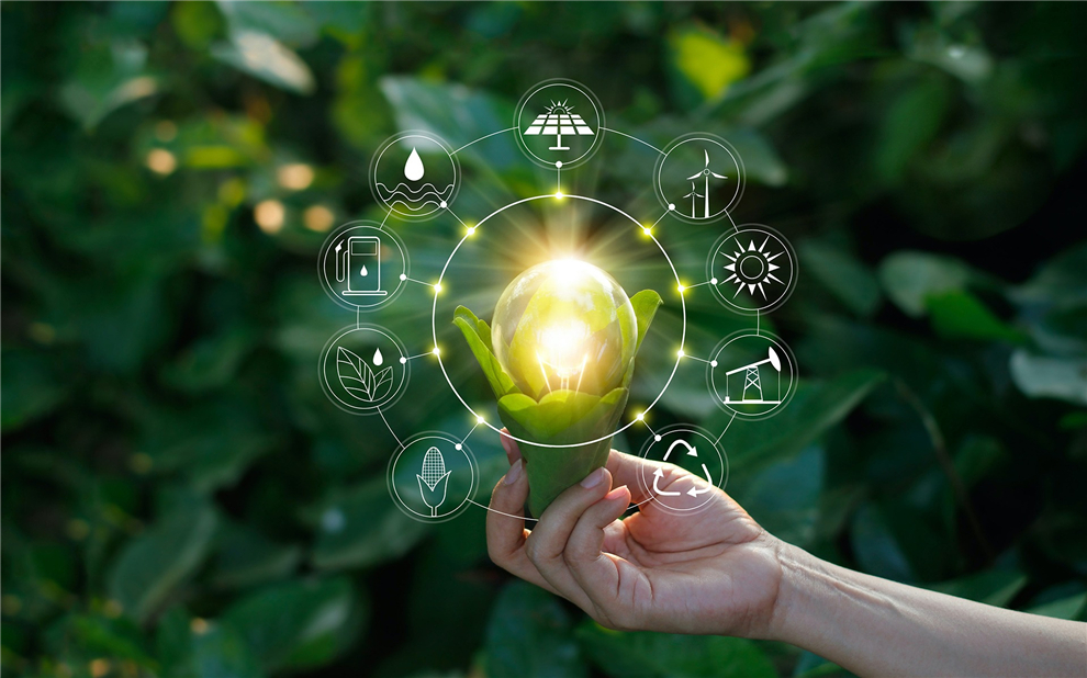 Sustainability (3)