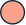 T-9620 (4).png