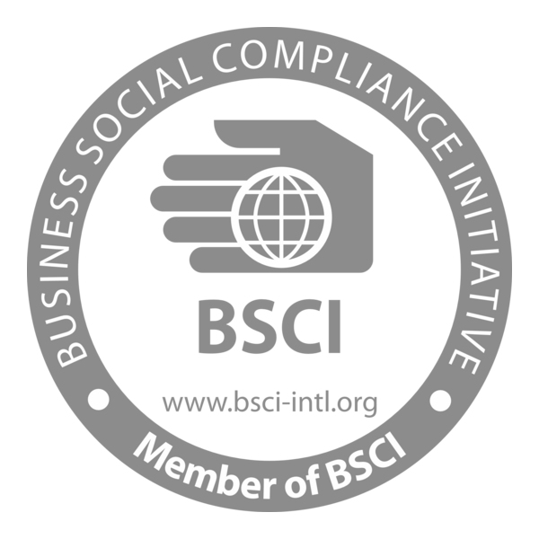 bsci-logo-png_seeklogo-216884