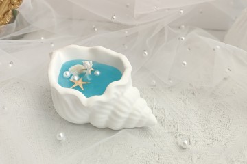 Oceanic Delight: Creative Seashell Jelly Candle with Aromatherapy