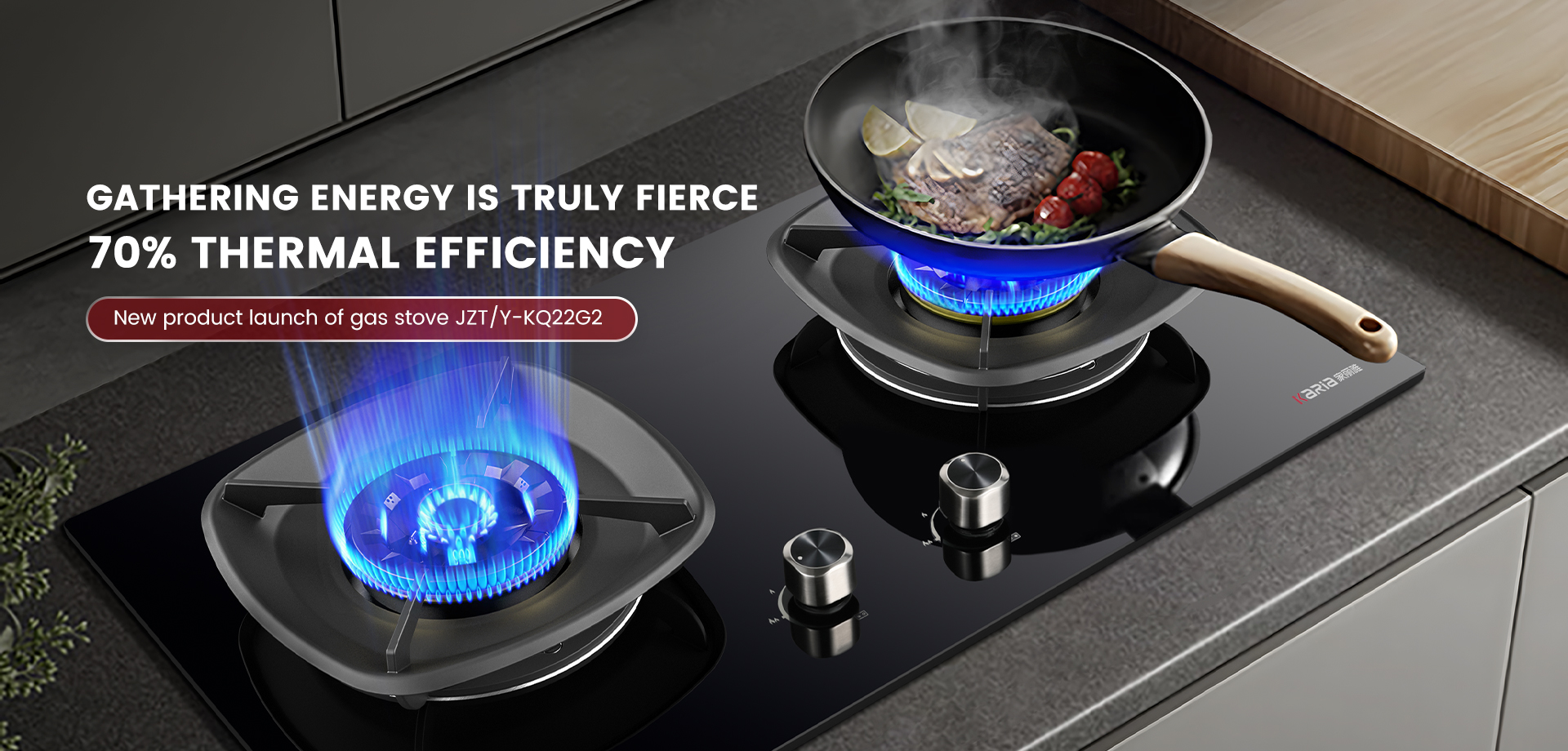products-Gas Stove