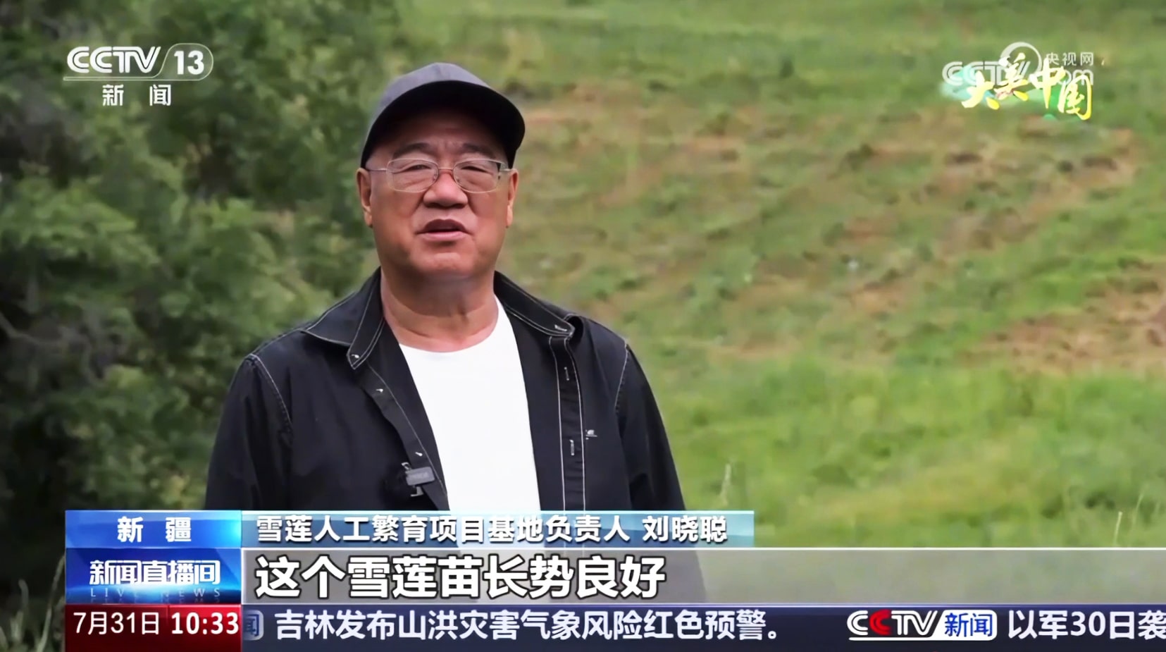 CCTV Shines Spotlight on Golden Days — Snow Lotus Cultivation Breakthrough Wins National Praise