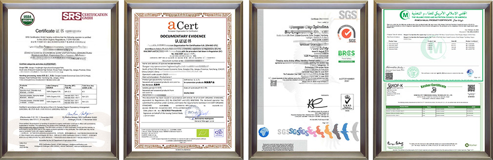 certificate2