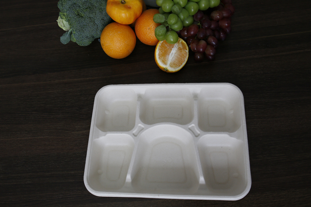 100%-Eco-Friendly-Biodegradable-Tableware1