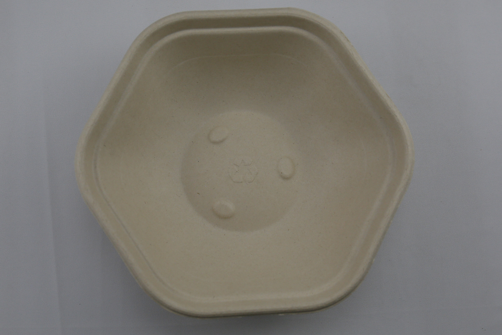 100%-Eco-Friendly-Biodegradable-Tableware4
