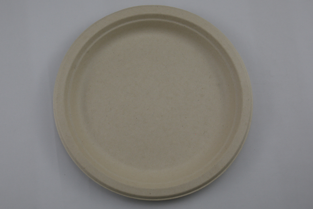 100%-Eco-Friendly-Biodegradable-Tableware6