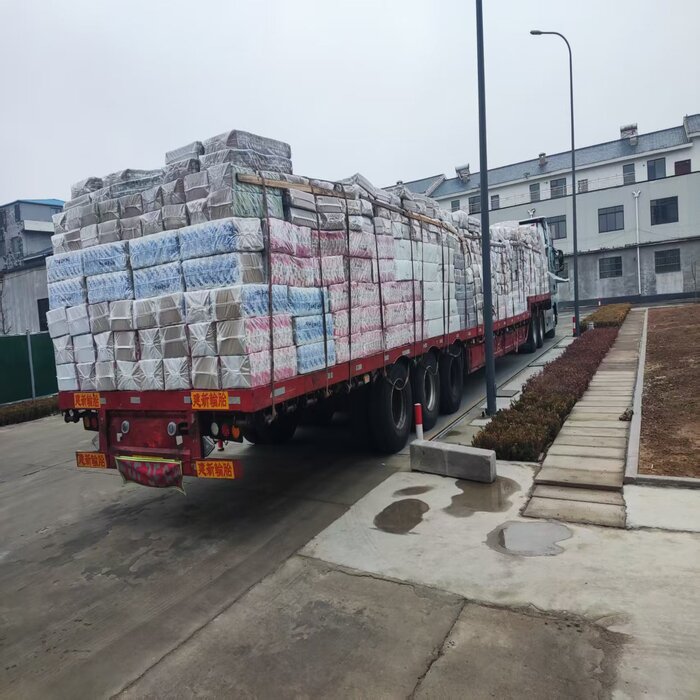 Galloping into a New Journey in the Year of the Horse