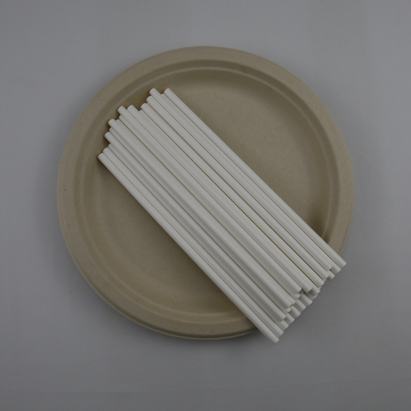 Disposable Biodegradable Paper Drinking Straws
