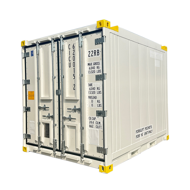 New 10ft Certified Thermo King Freezer Container