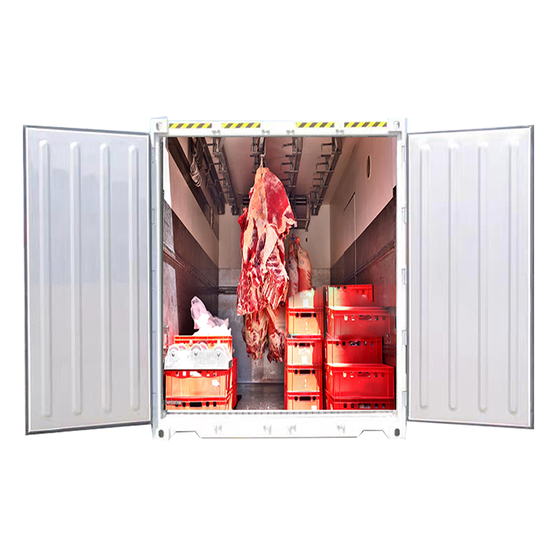 Brand new hanging meat container for low temperature fresh transportation