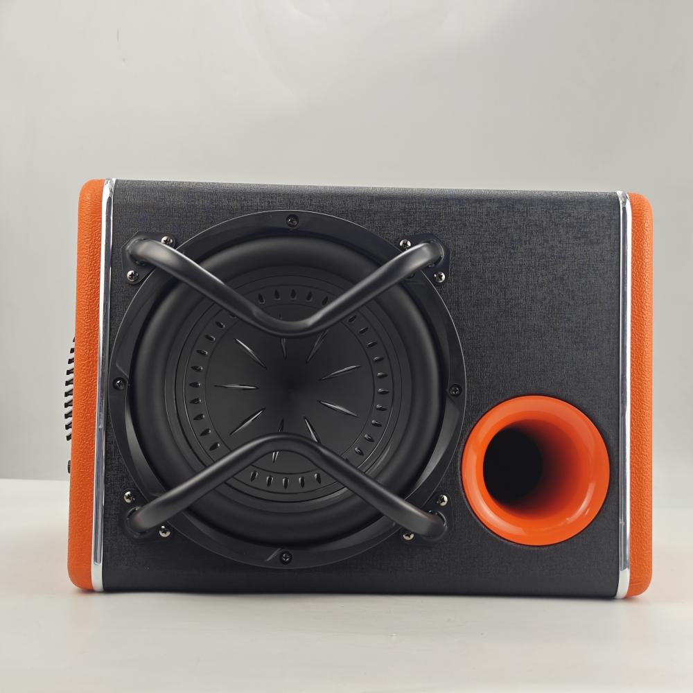 YL-103 Powerful bass subwoofer under your control