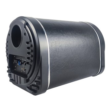 10 inch active subwoofer tube for automobiles -12V/24V truck compatible subwoofer speaker SD10 Leather version