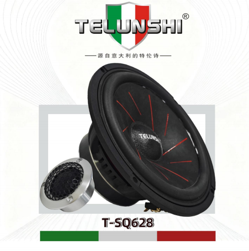 New product release in 2026 Telunshi T-SQ628 two-way speaker set