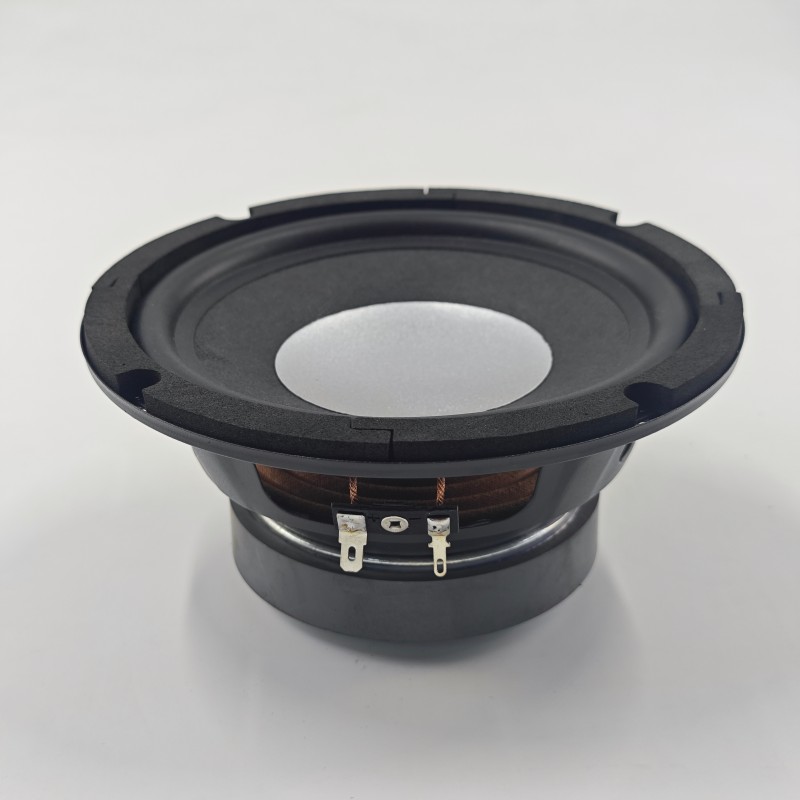 SW62501-100·25 (1)