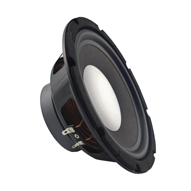 sw82501-100-25 (6)