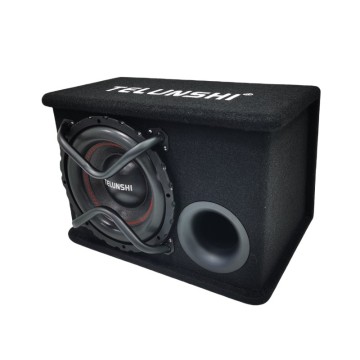 10-inch DVC car subwoofer, passive with an enclosure, featuring dual magnets and dual voice coils, suitable for a variety of car models.