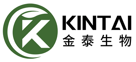 kintainutri-logo-1