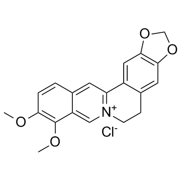 Berberine-cas-633-65-8