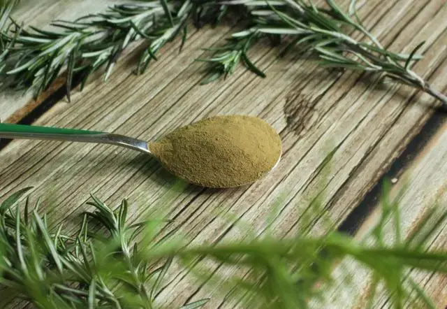 Carnosic-Acid-powder